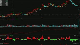 競(jìng)價(jià)外包托管客服發(fā)貨篇 貨到付款如何用順豐軟件下單與競(jìng)價(jià)冷門(mén)產(chǎn)品的軟件外包服務(wù)解析